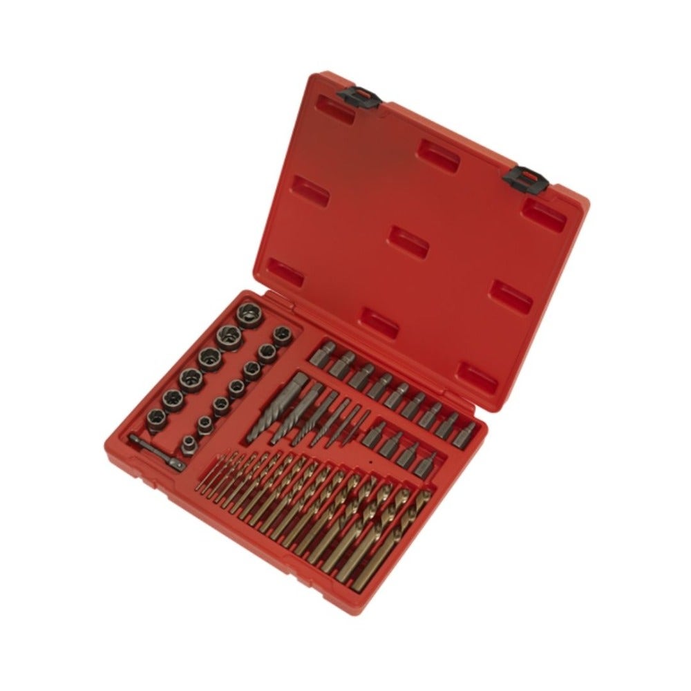 Sealey AK8149 Master Extractor Set 49pc