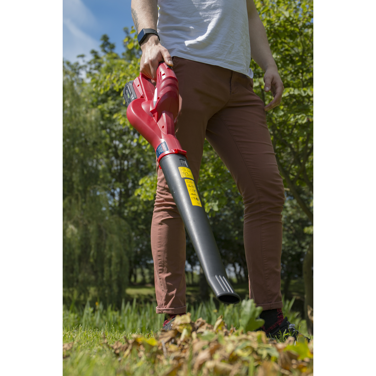 Sealey CB20VCOMBO2 SV20 Series Cordless Leaf Blower with 20V 2Ah Battery & Charger