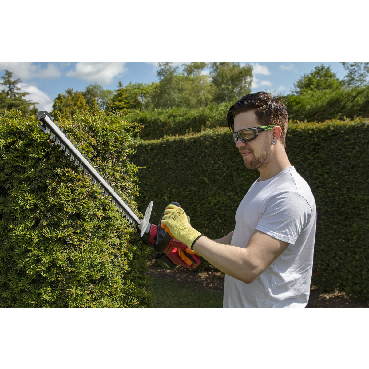 Sealey CHT20VCOMBO2 Hedge Strimmer Cordless 20V with 2Ah Battery & Charger