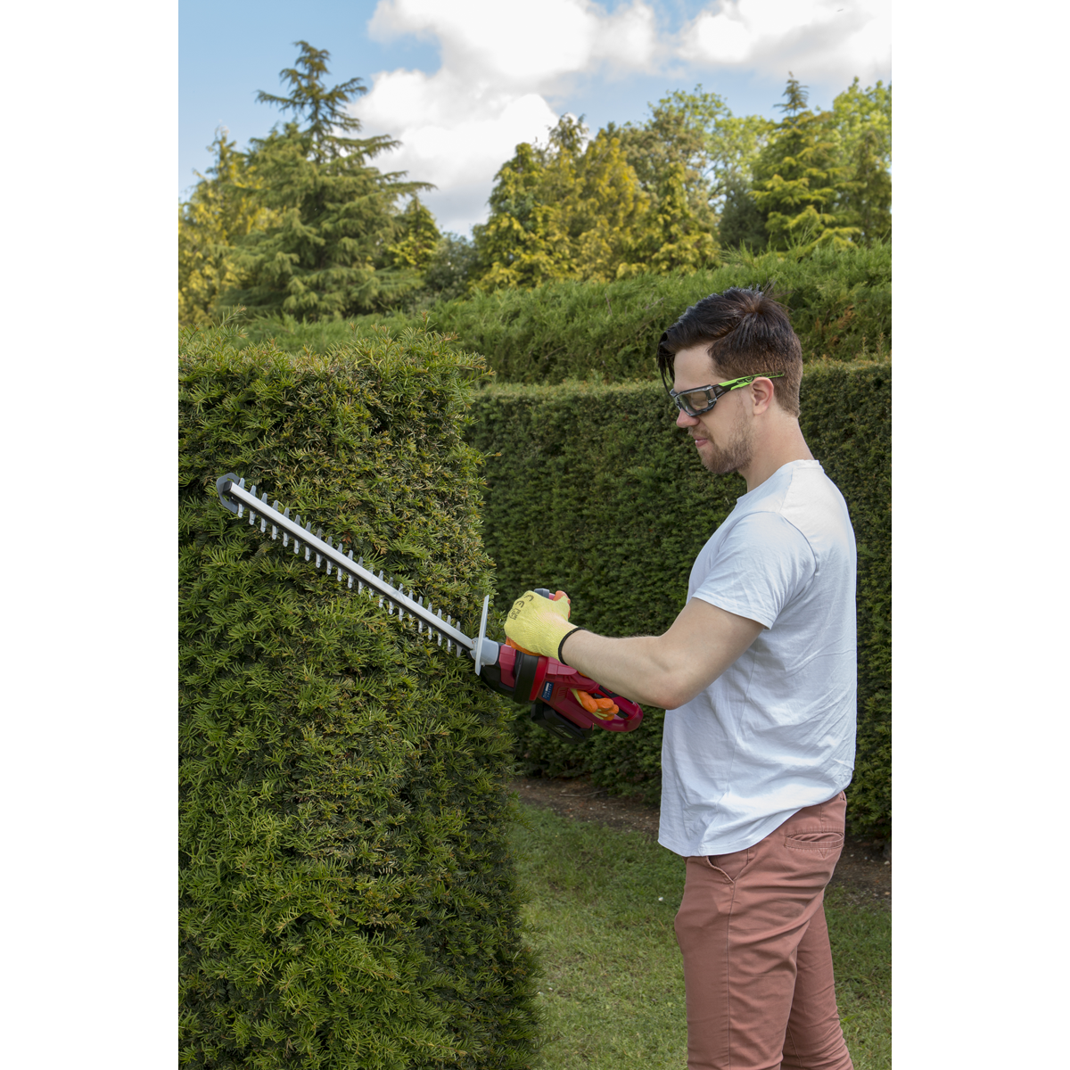 Sealey CHT20VCOMBO2 Hedge Strimmer Cordless 20V with 2Ah Battery & Charger