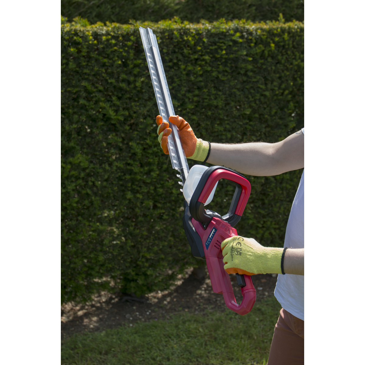 Sealey CHT20VCOMBO2 Hedge Strimmer Cordless 20V with 2Ah Battery & Charger