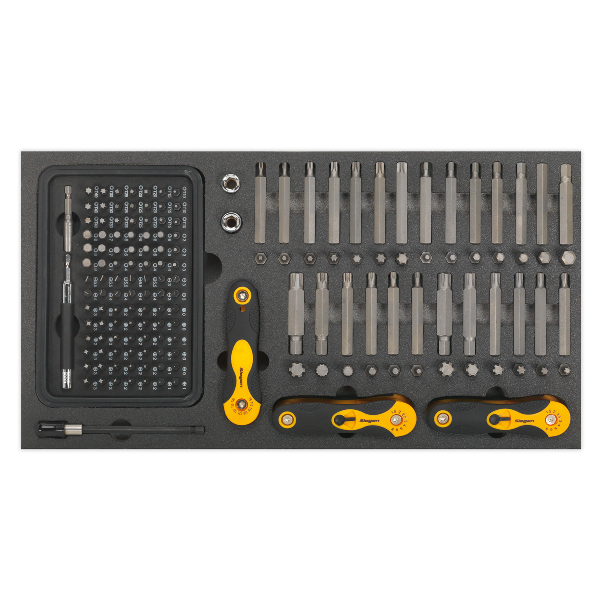 Sealey S01126 Tool Tray with Specialised Bits & Folding Hex Keys 192pc