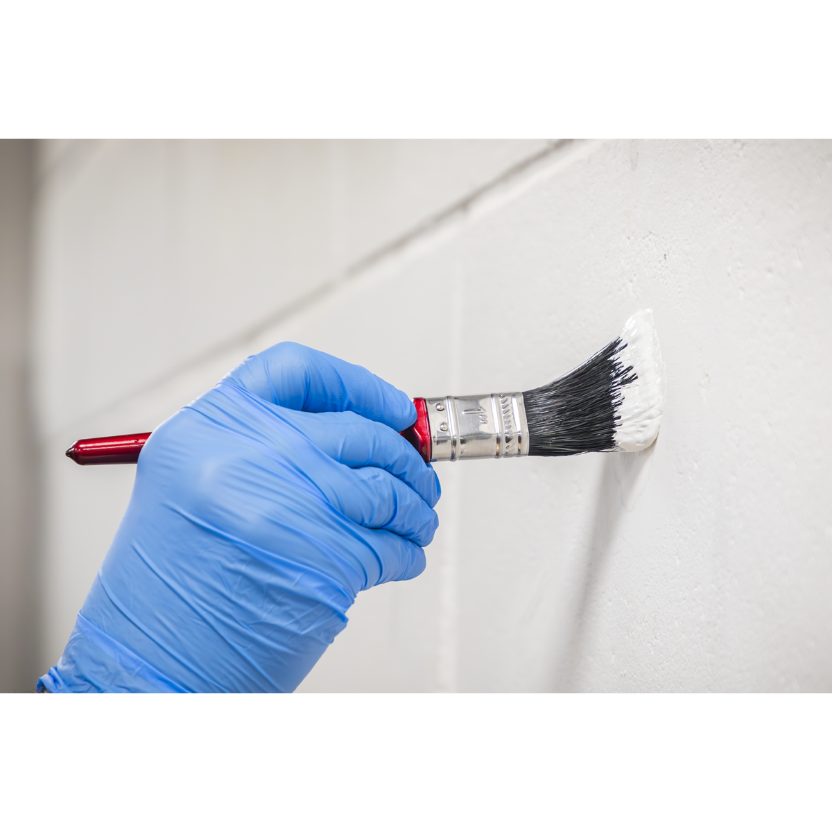 Sealey SPB25S Pure Bristle Paint Brush 25mm Pack of 10