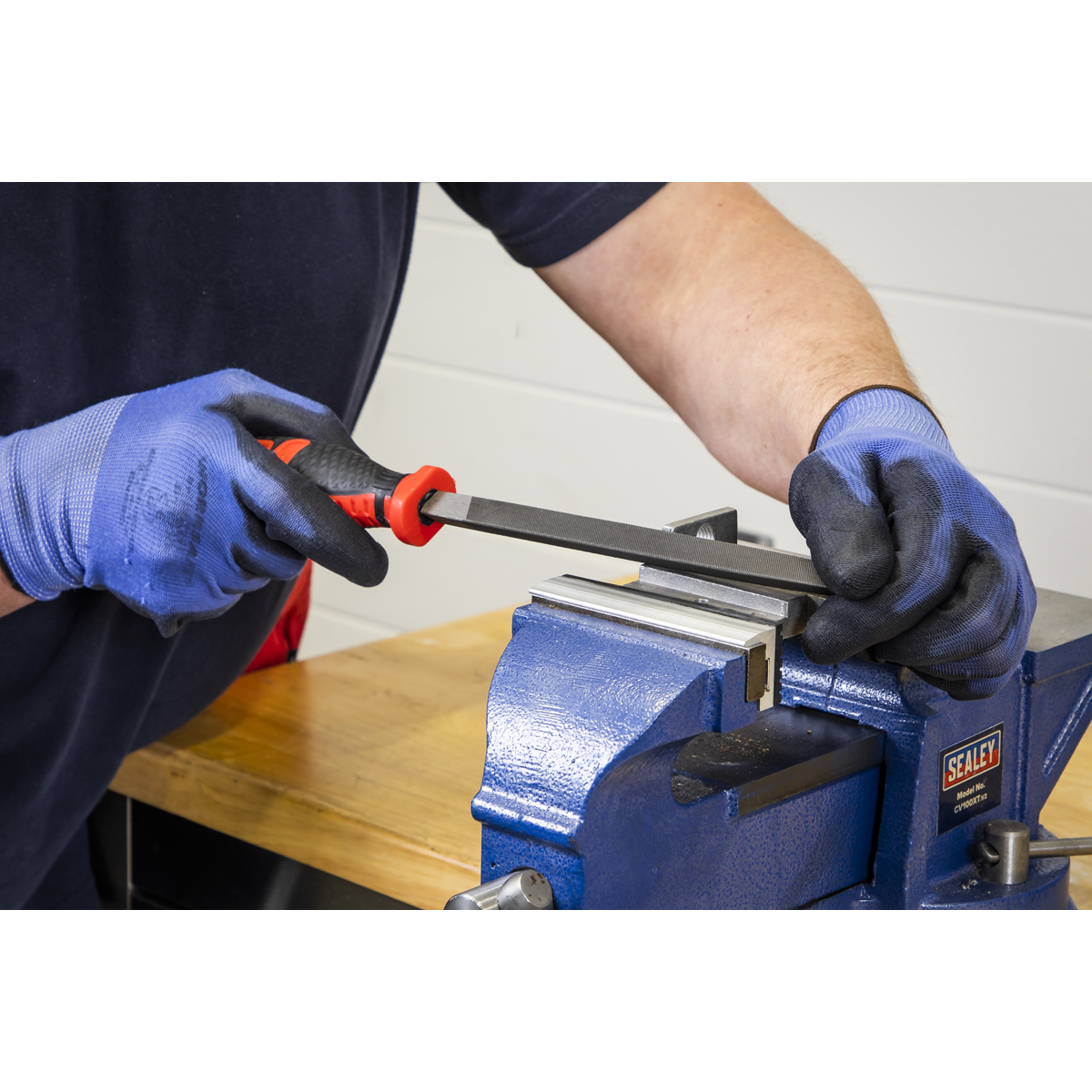 Sealey TBT09 Tool Tray with Engineer€™s File Set 5pc