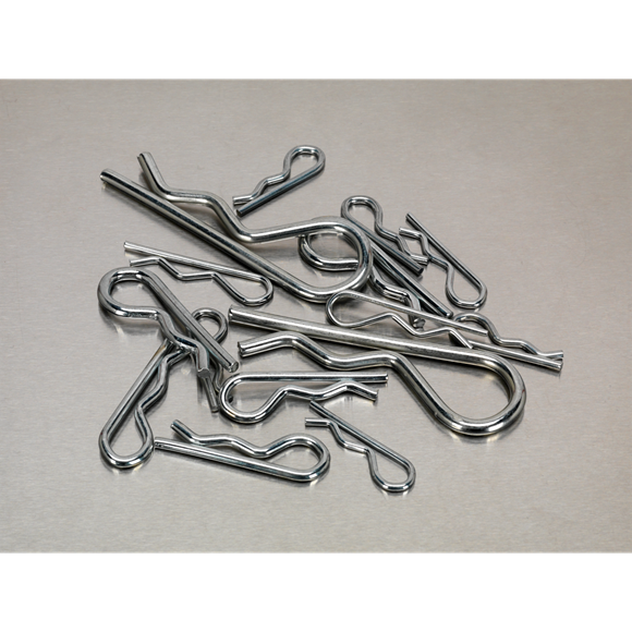 Sealey AB002RC R-Clip Assortment 150pc