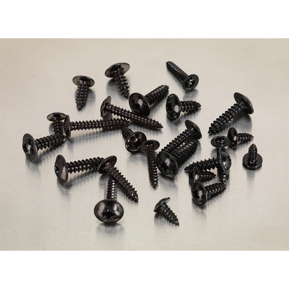 Sealey AB066STBK Self Tapping Screw Assortment 700pc Flanged Head