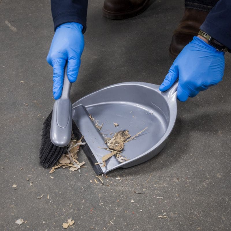 Sealey BM04 Dustpan & Brush Set Composite