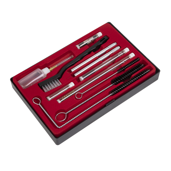 Sealey BSGC5 Spray Gun Cleaning Set 22pc