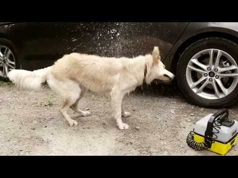 Karcher Pet Accessory Box for OC3