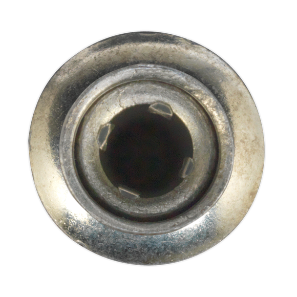 Sealey MB6332 Steel Structural Rivet Zinc Plated 6.3 x 32mm Pack of 100