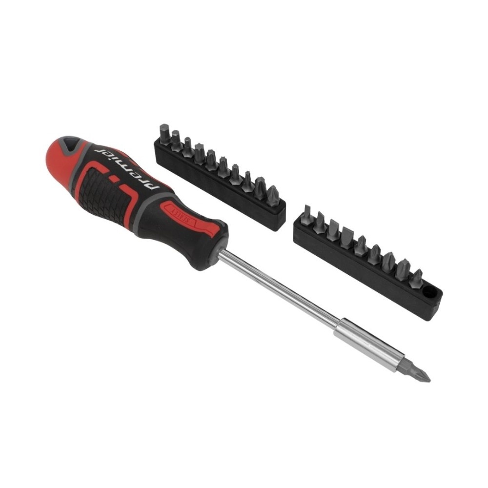 Sealey AK4329 Screwdriver & Bit Set 21pc GripMAX®