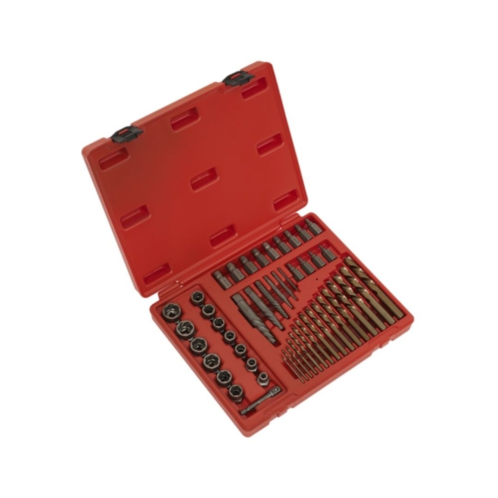 Sealey AK8149 Master Extractor Set 49pc