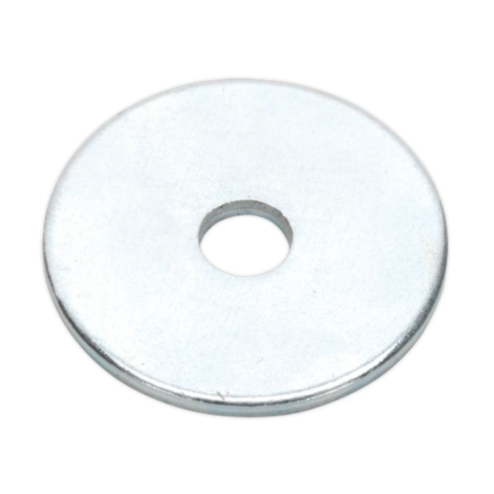 Sealey RW519 Repair Washer M5 x 19mm Zinc Plated Pack of 100