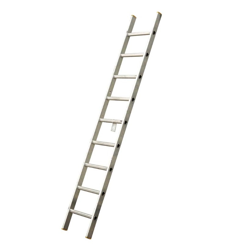 TB Davies 1102-050 2.5m Professional Single Section Ladder