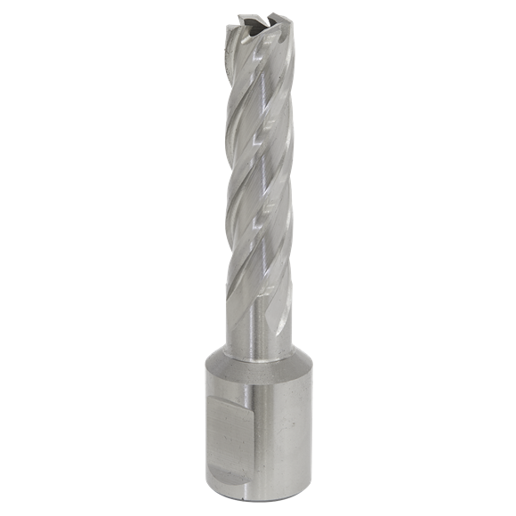 Sealey RBHSS12L Rotabor Cutter HSS Ø12mm - Cut Depth 50mm