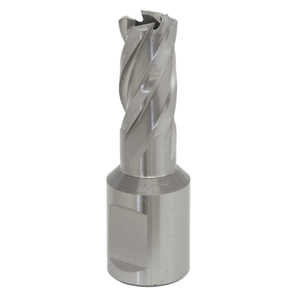 Sealey RBHSS12S Rotabor Cutter HSS Ø12mm - Cut Depth 25mm
