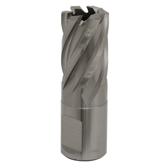 Sealey RBHSS19S Rotabor Cutter HSS Ø19mm - Cut Depth 25mm