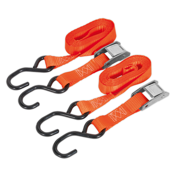 Sealey TD05025CS Cam Buckle Tie Down 25mm x 2.5m Polyester Webbing with S-Hooks 500kg Breaking Strength