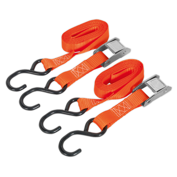 Sealey TD2525CS Cam Buckle Tie Down 25mm x 2.5m Polyester Webbing with S-Hooks 250kg Breaking Strength